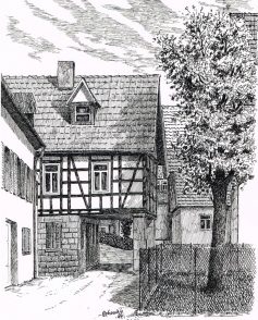 backhaus_1